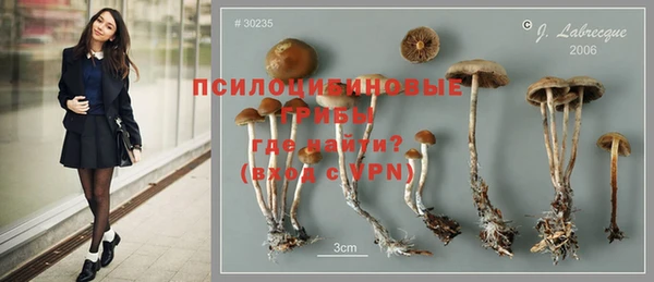 прущие крисы Арсеньев