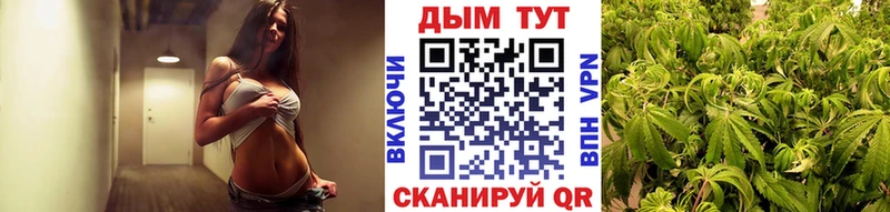 Бошки марихуана гибрид  Купить закладки  Нальчик 